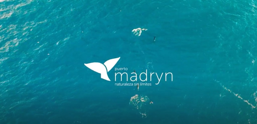 Puerto Madryn: Experiencias Únicas para el Verano&nbsp;2025/6